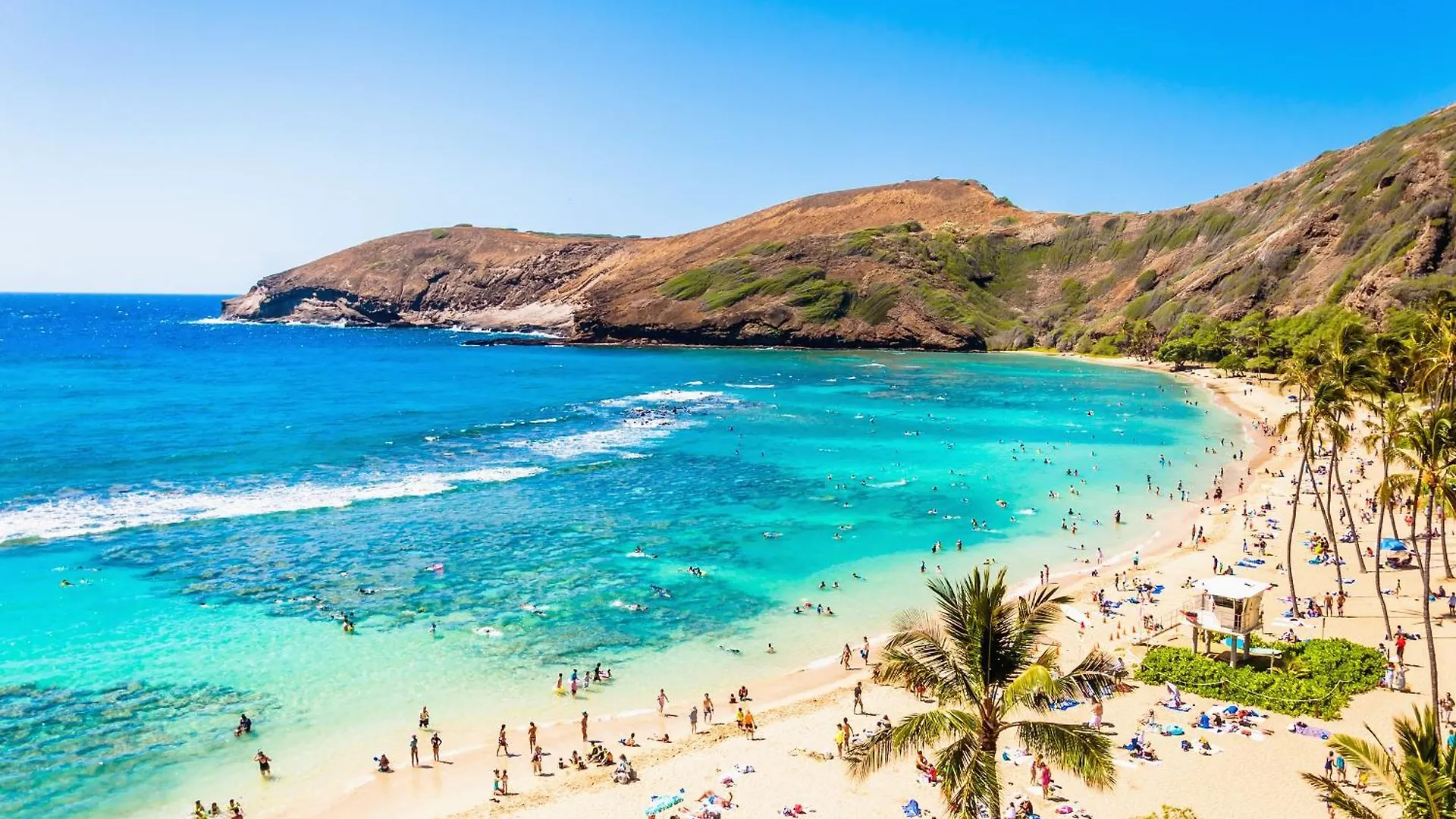 Aloha Vibes With Ocean Views, Near Beach & Parking! Honolulu